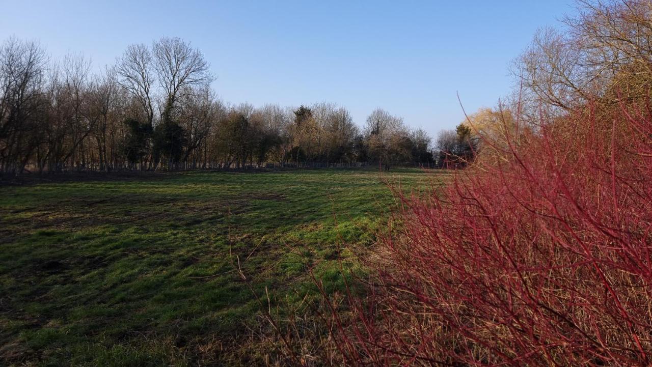 Godmanchester West Farm Cottage מראה חיצוני תמונה