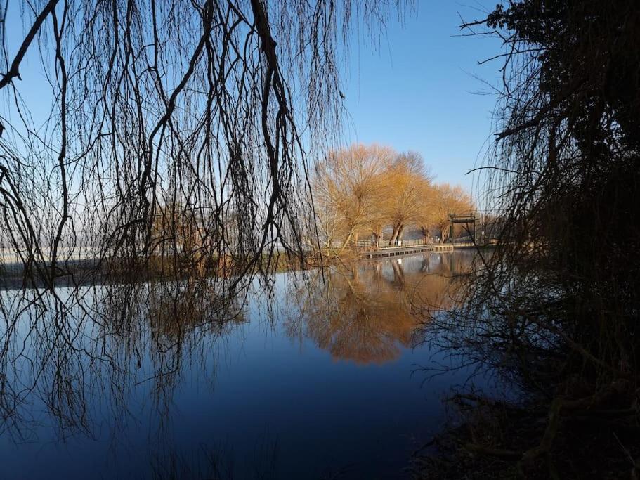 Godmanchester West Farm Cottage מראה חיצוני תמונה
